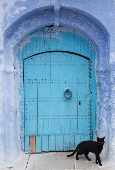 Blaue Tür und schwarze Katze