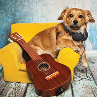 Hund mit Gitarre