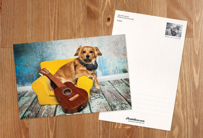 Hund mit Gitarre
