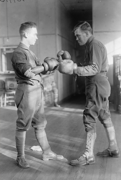 Boxer