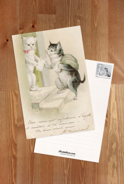 Katze-Postbote