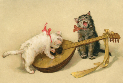 Katzenmusik