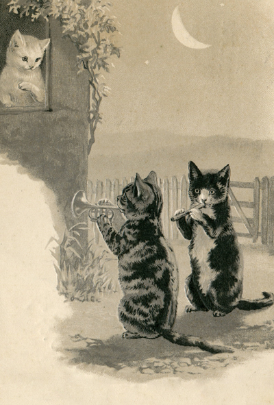 Balz der Katze