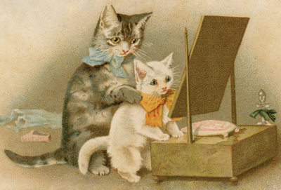 Katzen vor einem Spiegel