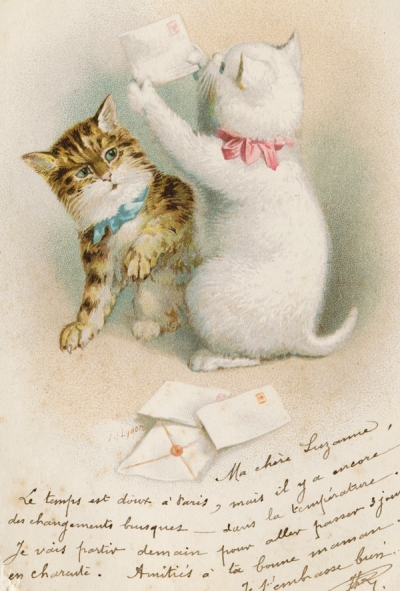 Katzen mit Briefen