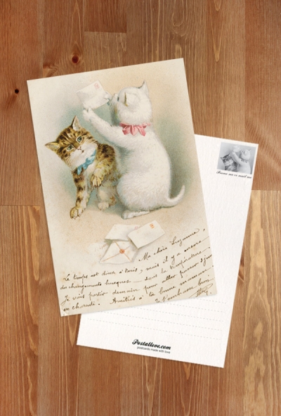 Katzen mit Briefen
