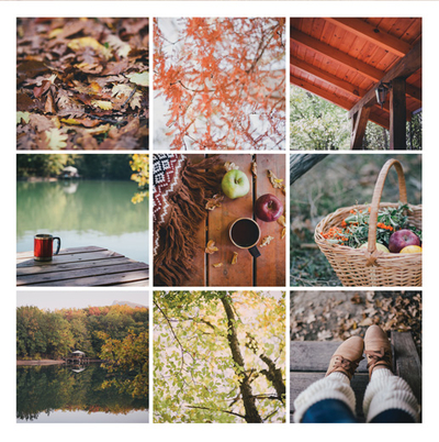 Herbst-Mosaik
