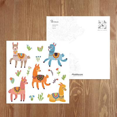 Bunte Lamas