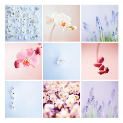 Blumenmosaik