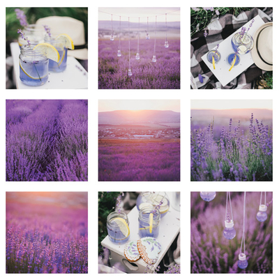 Lavendel-Mosaik