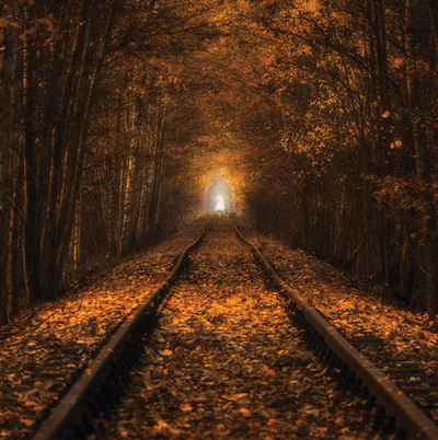 Paweł Uchorczak - Herbsttunnel