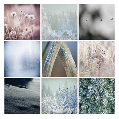Winterliches Mosaik