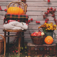 Herbstliche Dekorationen