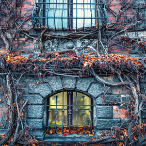 Herbstfenster des Nationalmuseums in Wrocław