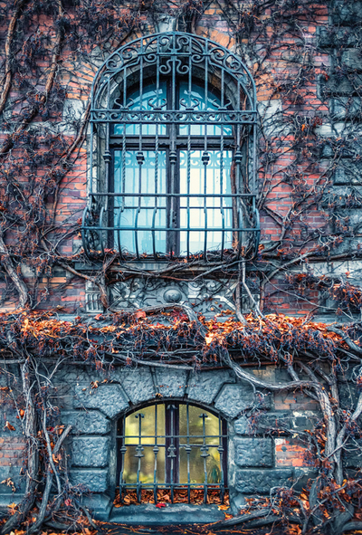 Herbstfenster des Nationalmuseums in Wrocław