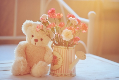 Teddybär und Nelken