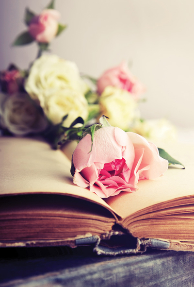 Rosen und ein altes Buch