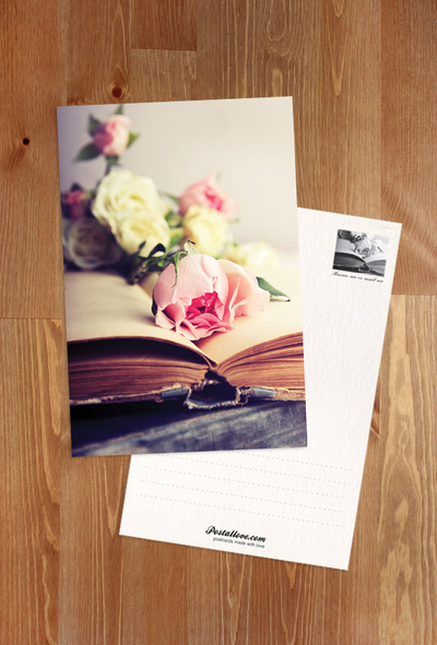Rosen und ein altes Buch