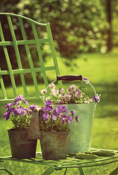 Frühling im Garten