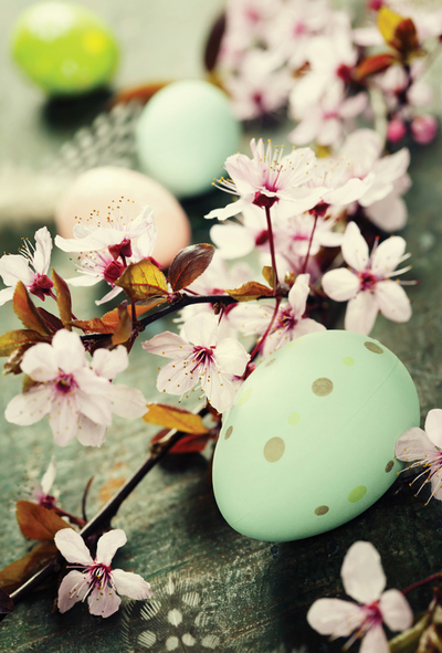 Osterapfelblüten