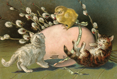 Ostern Katzen und Hühner