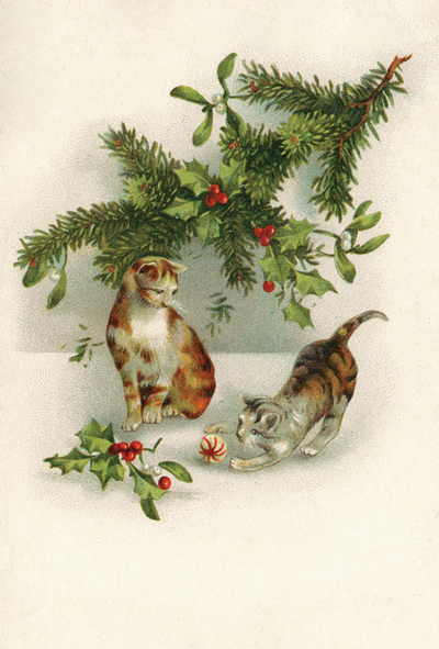 Katzen mit Christbaumkugeln 