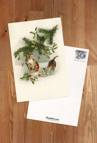 Katzen mit Christbaumkugeln 