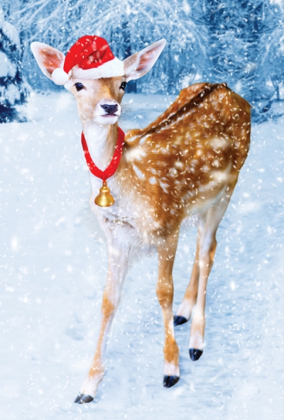 Weihnachten Rehwild