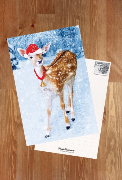 Weihnachten Rehwild