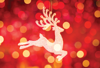 Weihnachtsbeleuchtung Rentier