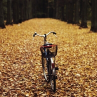 Agata Dobrzańska - Fahrrad, herbstlich