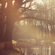 Agata Dobrzańska - Park bei Sonnenuntergang