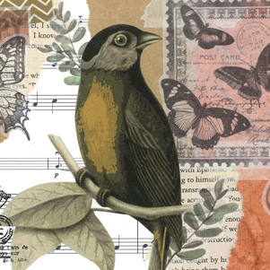 Marika Wieczorek - Vogel und Schmetterlinge