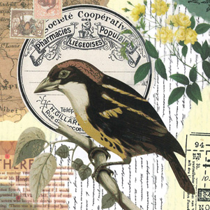 Marika Wieczorek - Vogel auf einem Ast