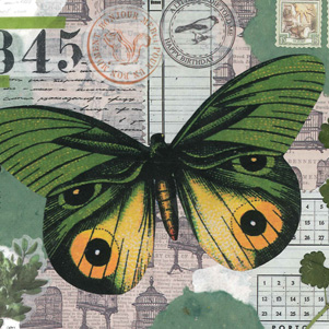 Marika Wieczorek - Schmetterling in Grün