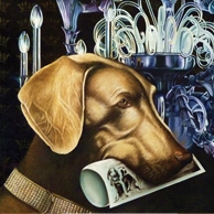 Marta Pióórko - Vorstehhund