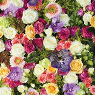 Lesezeichen - Bunte Blumen