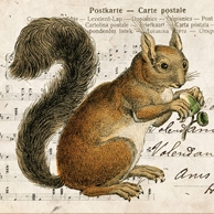 Collage mit Eichhörnchen
