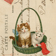 Collage mit Katzen in einem Korb