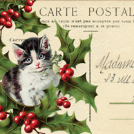 Collage mit weihnachtlichem Kätzchen 