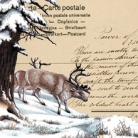 Winter-Collage