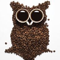 Kaffee-Eule