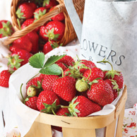 Erdbeeren