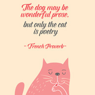 Katzenzitate - The dog may be wonderful prose, but only the cat is poetry