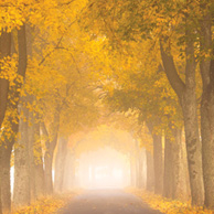 Poland - Love to be here... - Herbst in der Kaschubei