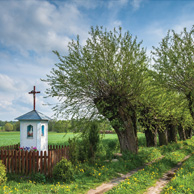 Poland - Love to be here... - Landschaft mit Weiden, Masowien