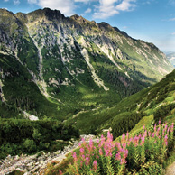 Poland - Love to be here...  - Roztoka-Tal