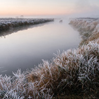 Poland - Love to be here...  - Narew