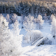Poland - Love to be here... - Masuren im Winter