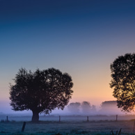Poland - Love to be here... - Weiden, Podlasie